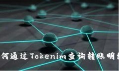 如何通过Tokenim查询转账明细？