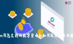 Tokenim钱包支持的数字货币和如何选择