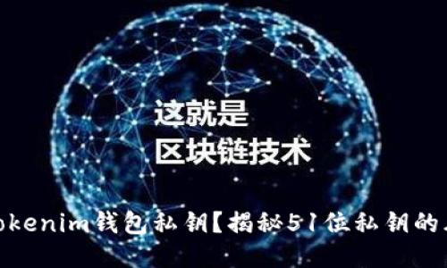 如何安全管理Tokenim钱包私钥?揭秘51位私钥的风险与保护措施