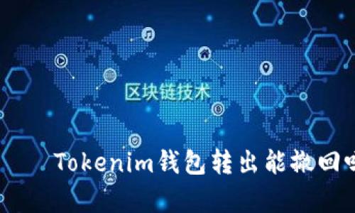стройство/банкTokenim钱包转出能撤回吗?详尽解析转账与撤回机制