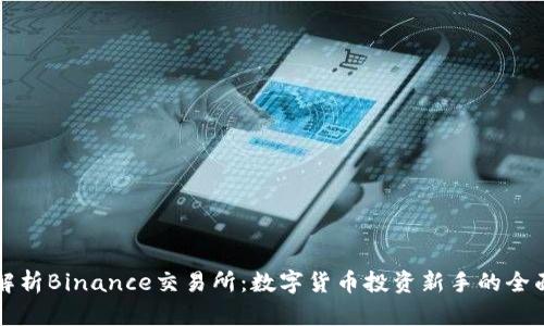 深入解析Binance交易所:数字货币投资新手的全面指南
