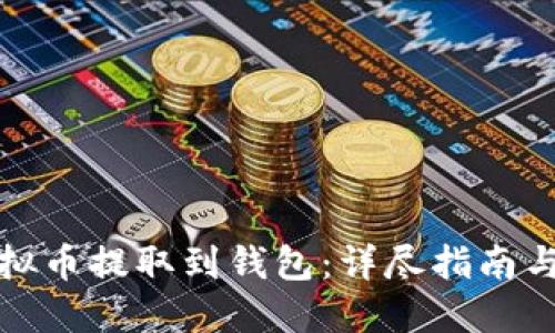 如何将虚拟币提取到钱包:详尽指南与实用技巧