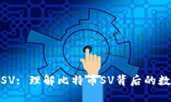 Tokenim BSV: 理解比特币SV背后的数字货币