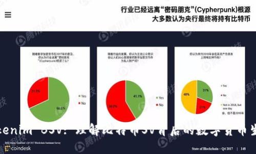 Tokenim BSV: 理解比特币SV背后的数字货币生态