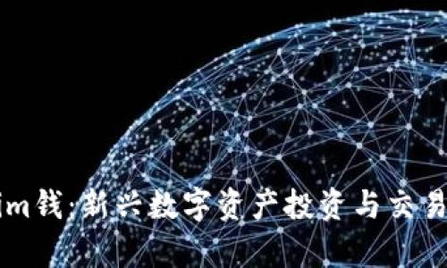 南昌Tokenim钱:新兴数字资产投资与交易的全景解析