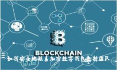 如何安全地联系加密数字钱包支持团队