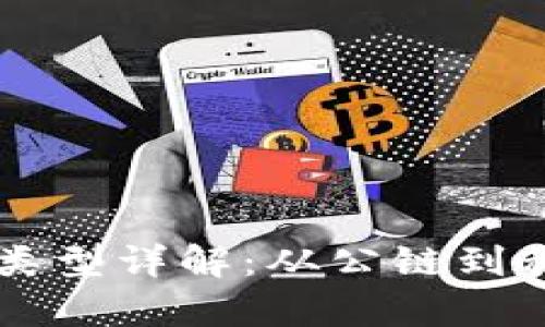区块链平台的类型详解:从公链到私链的全面解析