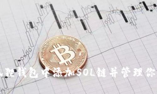 如何在小狐狸钱包中添加SOL链并管理你的数字资产