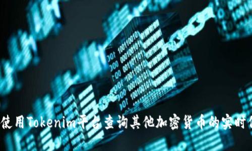 如何使用Tokenim平台查询其他加密货币的实时信息?