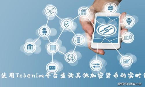 如何使用Tokenim平台查询其他加密货币的实时信息?