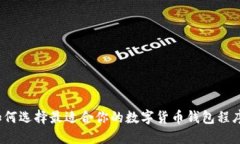 如何选择最适合你的数字货币钱包程序
