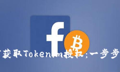 如何获取Tokenim授权:一步步指南