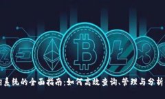虚拟币钱包地址查询系统的全面指南：
