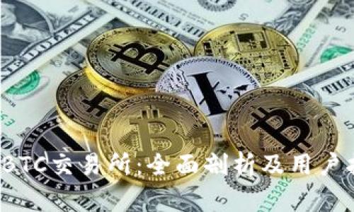 TopBTC交易所:全面剖析及用户指南