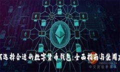 如何选择合适的数字货币钱包：全面指