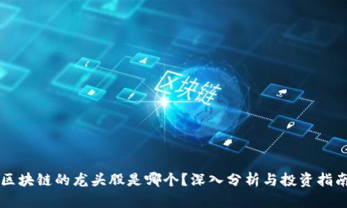 区块链的龙头股是哪个?深入分析与投资指南