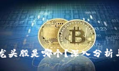 区块链的龙头股是哪个?深入分析与投资指南