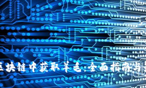 如何在区块链中获取羊毛:全面指南与最佳实践