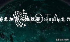   什么是Tokenim支付密码？用户必读指南