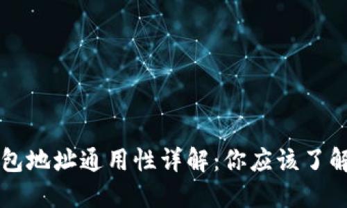 区块链钱包地址通用性详解:你应该了解的关键点