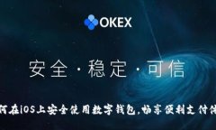 如何在iOS上安全使用数字钱包，畅享便
