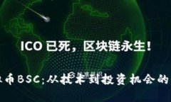 探索虚拟币BSC：从技术到投资机会的全