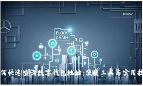 如何快速查询数字钱包地址：便捷工具与实用技巧