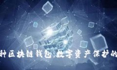 揭秘100种区块链钱包：数字资产保护的