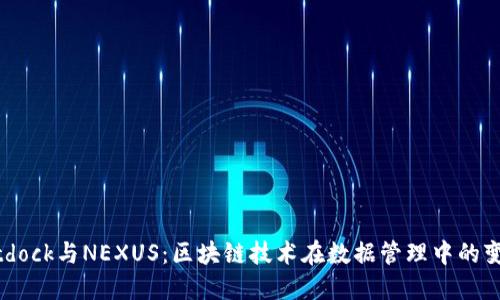 探索Bitdock与NEXUS：区块链技术在数据管理中的变革之路