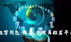 数字钱包：购买、使用与推荐平台