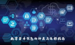数字货币钱包的种类与选择指南