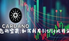 发现比特币钱包的宝藏：如何利用Bi