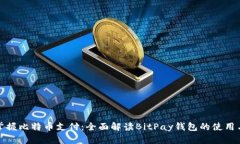 轻松掌握比特币支付：全面解读BitPa