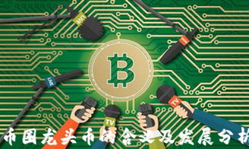 
币圈龙头币的含义及发展分析