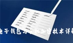 电子钱包与手机加密技术详解
