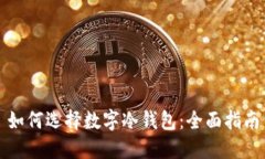 如何选择数字冷钱包：全面指南