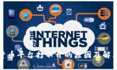 数字货币平台打不开的原因及解决方案