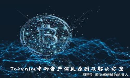 Tokenim中的资产消失原因及解决方案