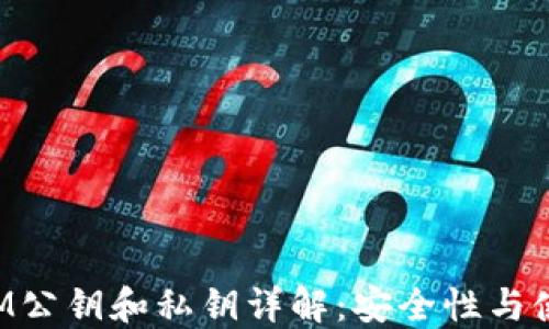 
TokenIM公钥和私钥详解：安全性与使用技巧