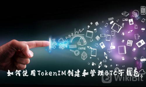 如何使用TokenIM创建和管理BTC子钱包