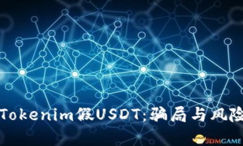 理解Tokenim假USDT：骗局与风险分析