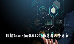 理解Tokenim假USDT：骗局与风险分析