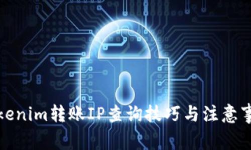Tokenim转账IP查询技巧与注意事项