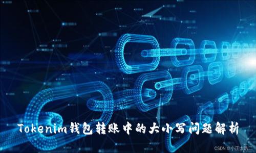 Tokenim钱包转账中的大小写问题解析