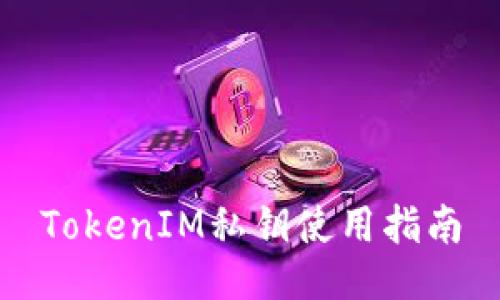 TokenIM私钥使用指南