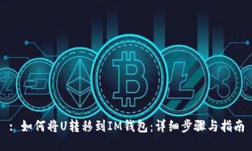 : 如何将U转移到IM钱包：详细步骤与指南