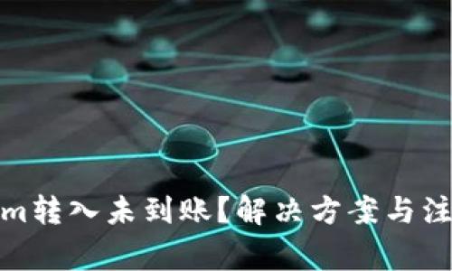 Tokenim转入未到账？解决方案与注意事项