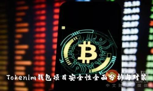 Tokenim钱包项目安全性全面分析与对策