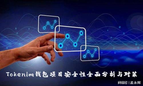 Tokenim钱包项目安全性全面分析与对策