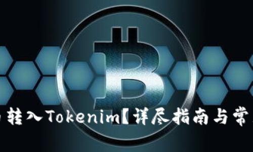 如何将中币转入Tokenim？详尽指南与常见问题解答
